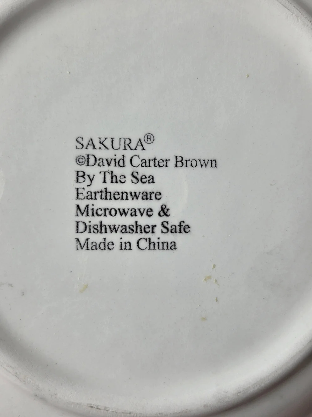 Sakura By The Sea Salad Plates Designed By David Carter Brown 8